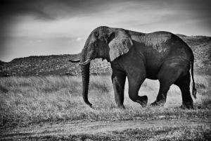 Tanzania
