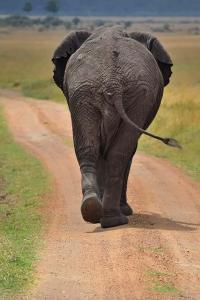 Marching away