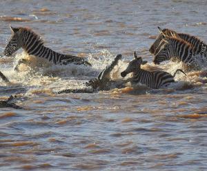 River crossing